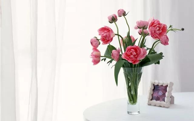 运势|9月，紫气东来，事业平步青云，运势一鸣惊人，飞黄腾达的4生肖