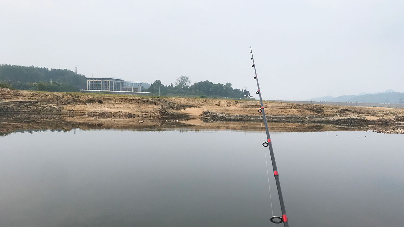 金寨|清晨探钓，小县城河道里的惊喜，男人为什么爱钓鱼？