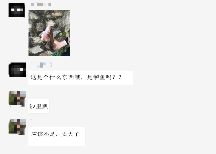 『』小伙湘江钓起“巨型麻壳鱼”，一斤多浑身硬壳，有人羡慕有人担忧