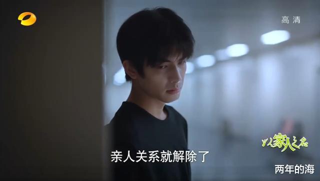 陈婷|《以家人之名》凌霄和尖尖结婚，贺梅嫁给李海潮，感悟家在血缘前
