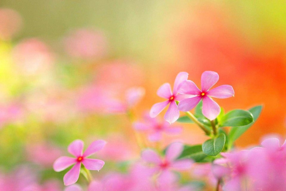 摩羯座|职场中比较受欢迎的星座，头脑灵活，明争暗斗，他们都不参与