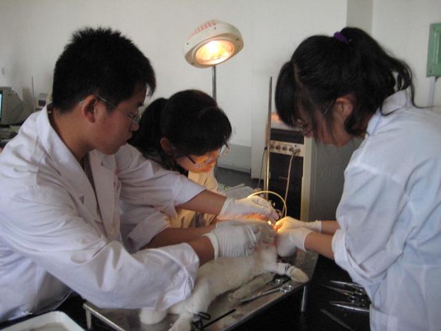 『临床医学』这个医学专业更适合男生，还没毕业就被预定，很多医院抢着要人