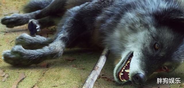 『长相守』《长相守》：廉价的ppt片头和过时的妆容，再一次劝退观众