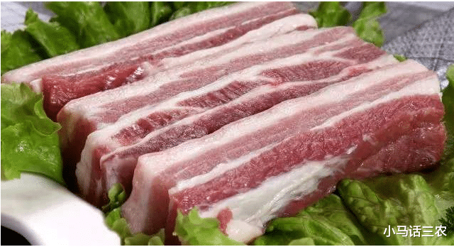 生猪价格|猪价再次“断崖式”下跌，要跌回10元时代了？看完心里有数了