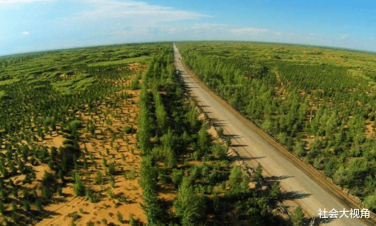 英国|英国媒体：中国人太天真，不知道植树的后果，还敢说是环保大国？
