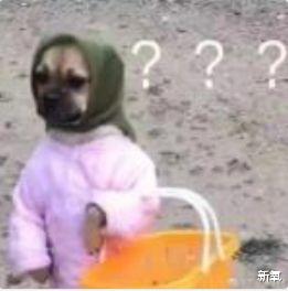 明星|好可惜啊！那些曾惊鸿一瞥偷走大家的心之后，默默的长残了的明星