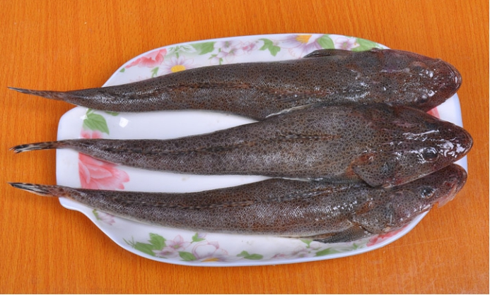 海鱼|遭人“嫌弃”的鱼，肉质鲜美，富有营养价值，只因长的丑销量不行