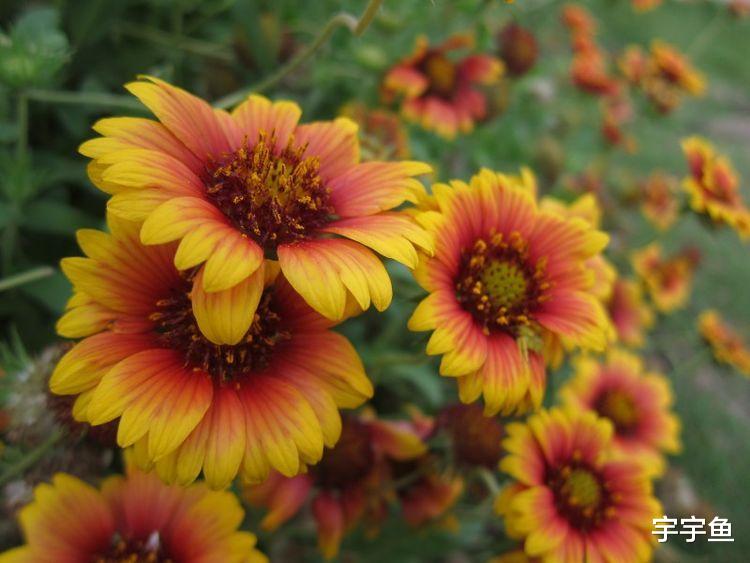 运势|9月开始赚得巨大财富，处处遇贵人，富贵跟着走的四大属相