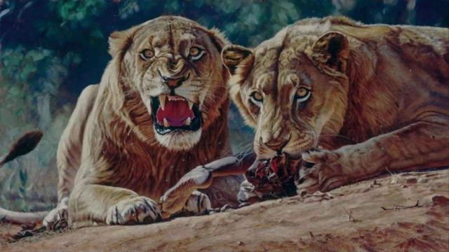 非洲：比野味还要危险的东西！世界上5只危险的动物