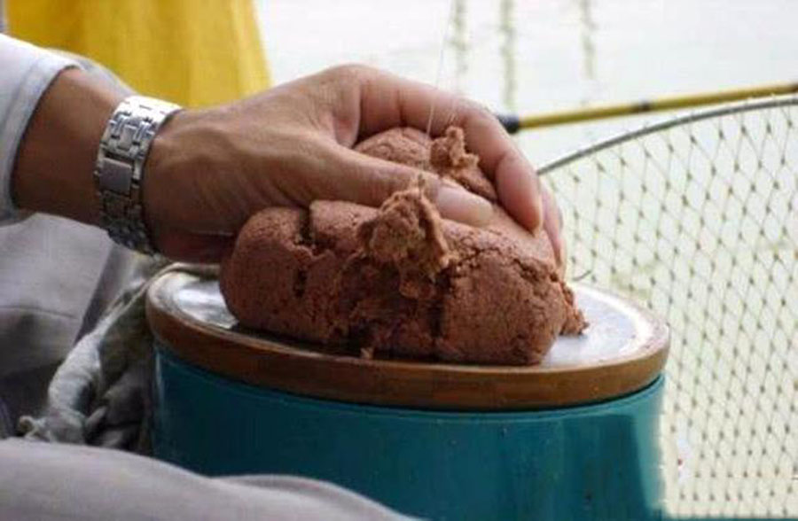 饵料|黑坑如何解决水底“酱层”问题的？我提供3种方法