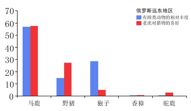 「野猪」野猪、黑熊并不比老虎厉害，一猪二熊三老虎不是实力的排序