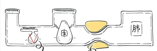 衰老|越睡越累？其实是你的\鸟\不够用了......