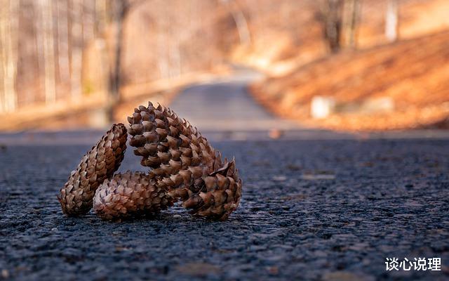 旧爱|9月，桃花来袭，暗生欢喜，3星座执手旧爱，余生走遍海角天涯