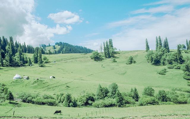 旧爱|8月下旬，痴心迷离，悔不当初，3星座追回旧爱，只愿余生笑