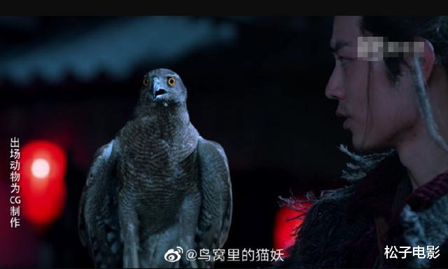 肖戰《狼殿下》用蒼鷹拍戲惹爭議，王俊凱也受“牽連”-圖5