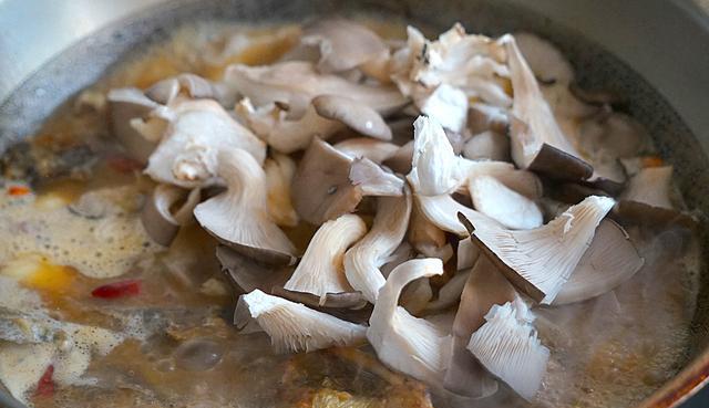 平菇|秋天,吃这鱼正是时候,和平菇一起炖,汤可不要太鲜美哟