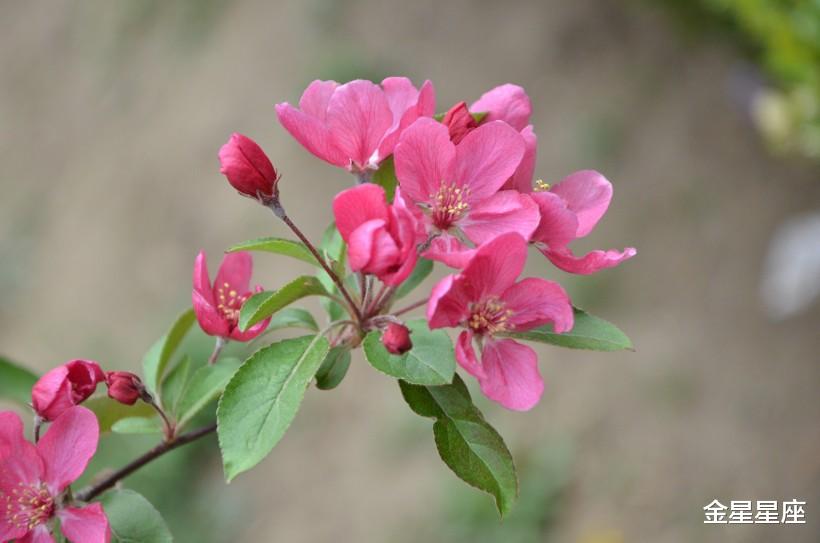 「运势」进入6月16号能够名利双收，财富会不断飙升的3大生肖