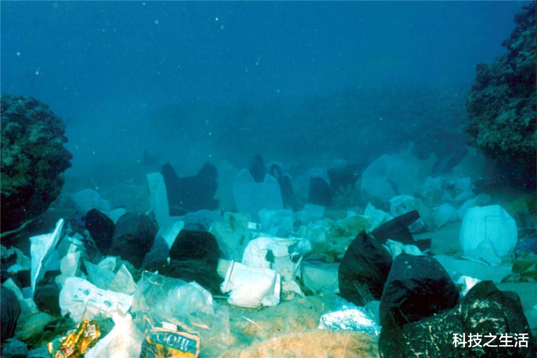 科学家|科学家在海底3700米的地方，拍下了一张照片，这真的是地球吗？