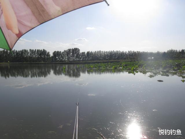 玉米|我身边的大部分钓友都跟我很像，以钓疗疾，“药”到病除~