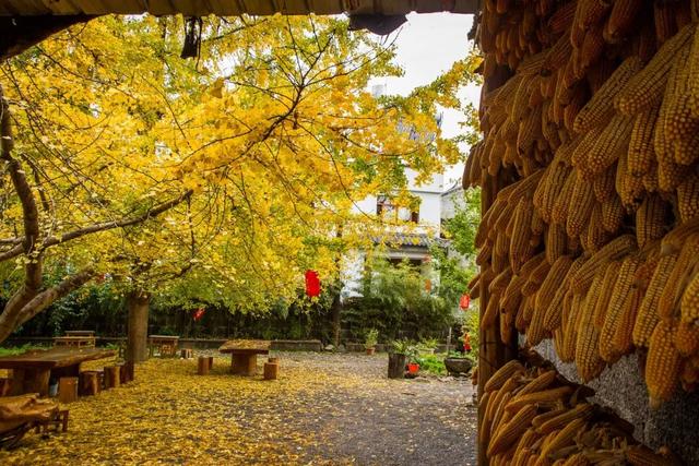 胡杨林|再过30天，全世界都要羡慕死中国了