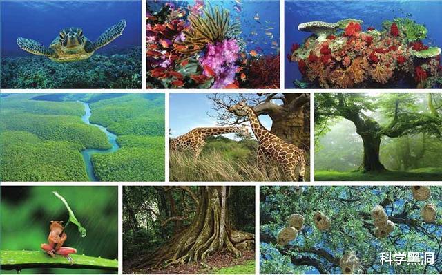 月球|比月球亮8倍!原定2020年发射的人造月亮,怎么没消息了?