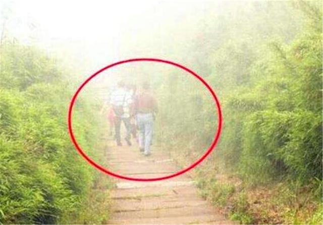 电影|“黄泉路”真的存在，已成禁区，不准任何人出入，专家无法解释