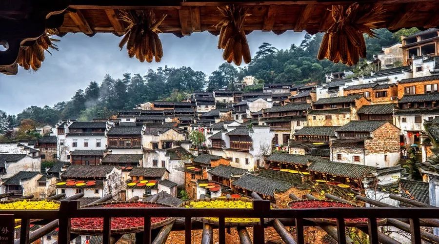 你为什么要回老家过年？