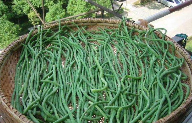 豆角|做干豆角时，为啥要用盐水煮一下？内行人说出实情