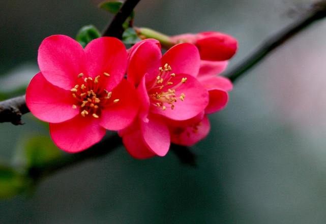 生肖|9月30号开始此三生肖财源广进，事业高升，吉星高照