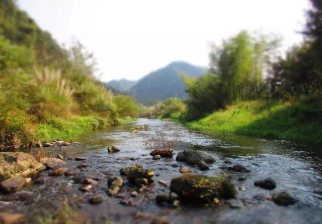 |路亚时为什么鱼儿会尾随但不咬钩？我来教你--皇禾钓具