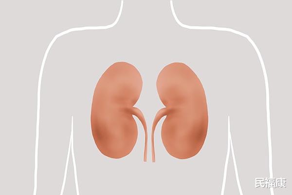 脾胃|肾脏衰竭之前，身体会提前“打报告”，一个都没有，肾还算健康