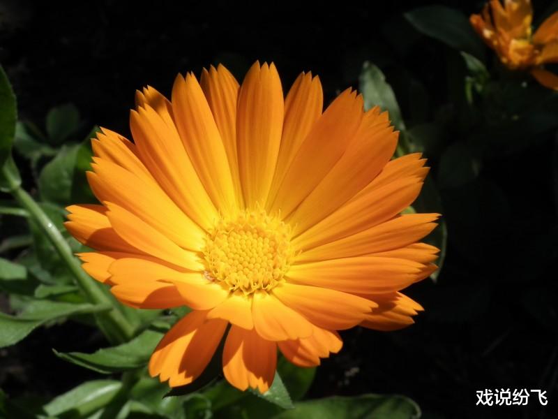 [生肖]最近七天大运缠身，3生肖存款多多，事业、财运飘红！