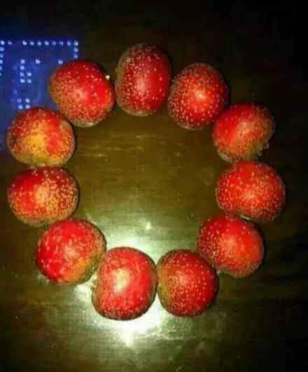 星月菩提|文玩乐趣多：45mm顺白高密正月星月菩提