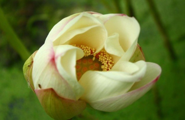 #运势#7月开始横财一波接一波,不缺贵人,富贵十足的四大属相