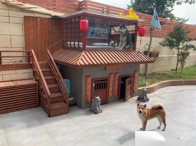 豪华狗窝：中式泳池豪宅、田园风情别墅、三层跳台别墅，想住