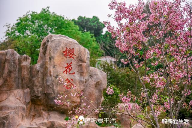 厦门▲福建“最累”的旅游步道，全长23公里架在空中，走完需一整天！