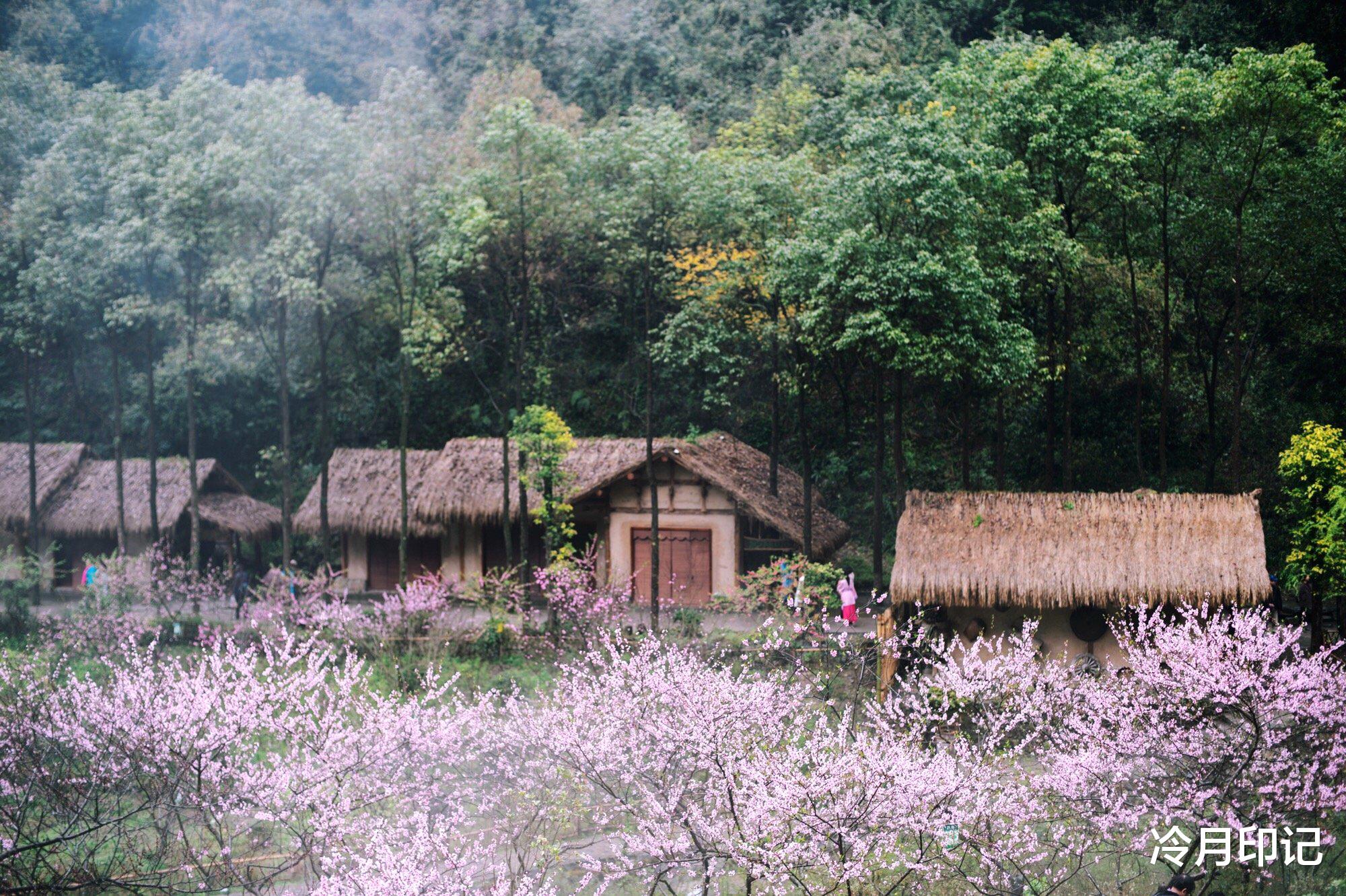 重庆■火炉重庆藏着一个“凉都”,年平均气温15度,人人向往的世外桃源