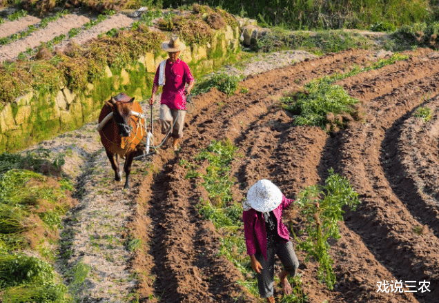 戏说三农|?“活人无地,死人有田”咋办?1个问题不解决,再好的办法也白搭