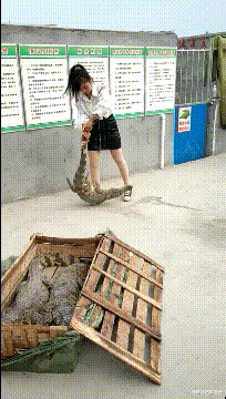 |视力太好，突然有点慌啊！