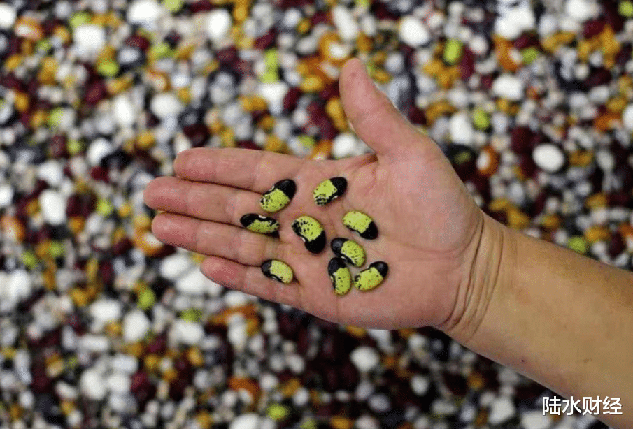 芯片|每年进口花32亿，价格比国内贵十几倍！中国依赖进口的，不止芯片