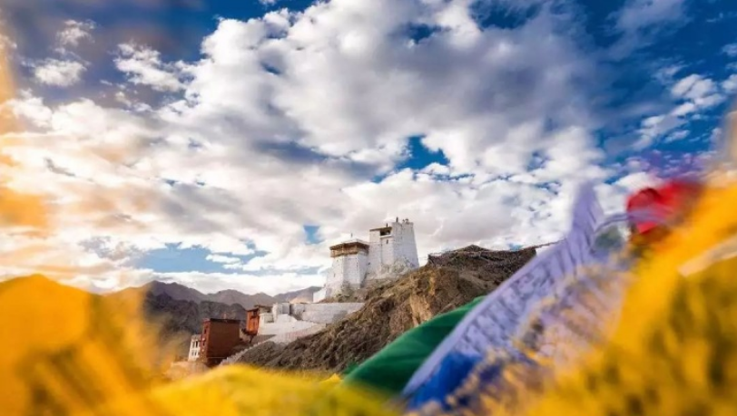 [石河子大学]宁去二本院校，也不去这3所211大学，家长：大不了复读！究竟为何