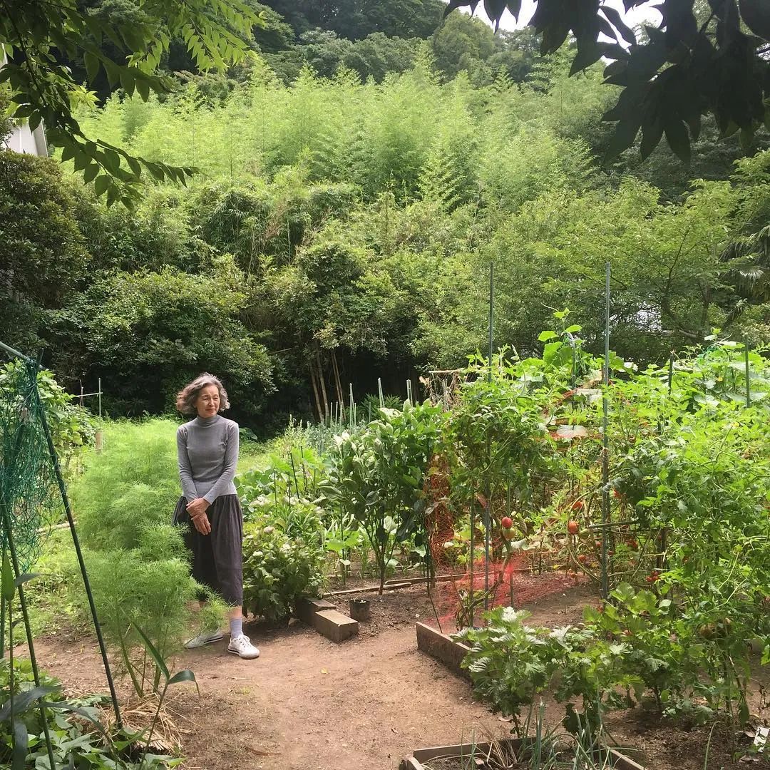 |74岁日本“逆龄”主妇，每天清晨5点起床，把生活过成了诗
