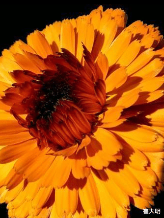 「生肖」7月开始再穷也能富，好运接不完，事业一路高升的四大生肖