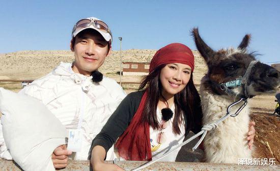 「陈松伶」陈松伶赛后坐轮椅真因曝光,素颜出镜显老态,张铎:依然是最爱