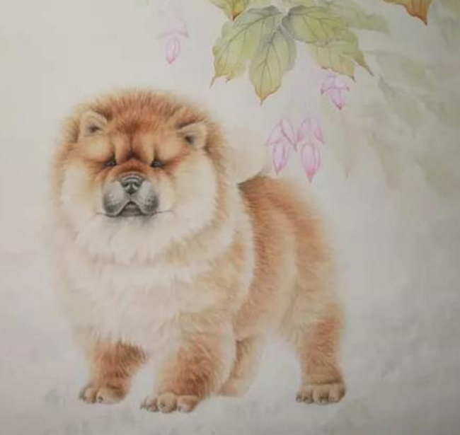 生肖狗 的“大喜”来临！1月财如雨下，你准备好了吗？