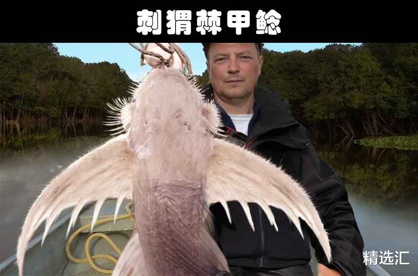 科学家|地球上发现的9种非常奇特的水生生物