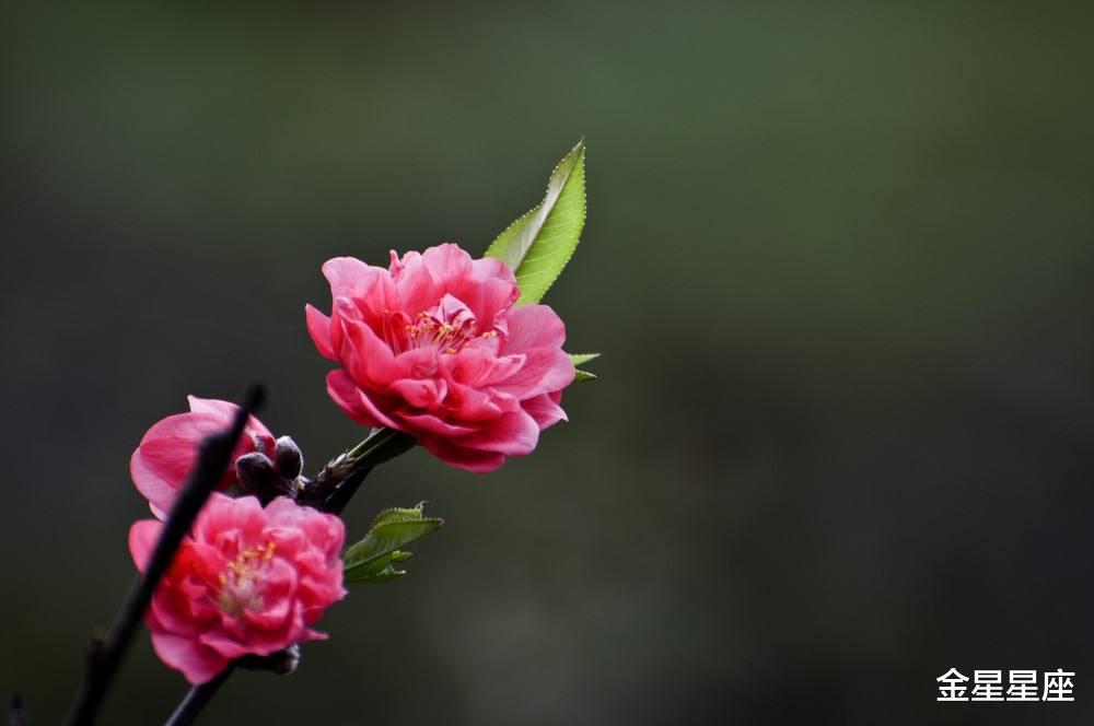 [运势]7月3号，运势飞涨的生肖，财运容易获利，恭喜恭喜！
