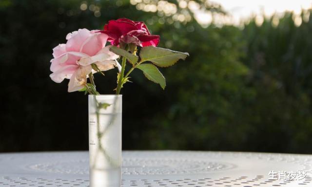 生肖|9月底，秋风飒爽，旧情人来临，3生肖痴缠到底，再次琴瑟和鸣