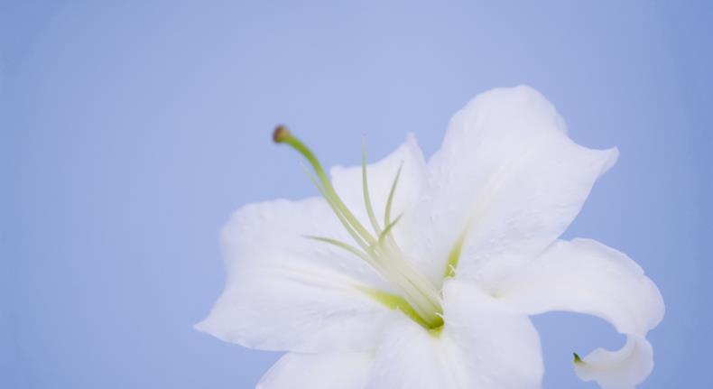 |8月以后，假意假爱，尽早舍弃，3星座和过去说再见，往后两不相见