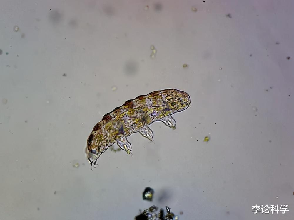 新陈代谢|冷冻第一人：贝德福德，原定3年前就该苏醒，结果怎么样了？